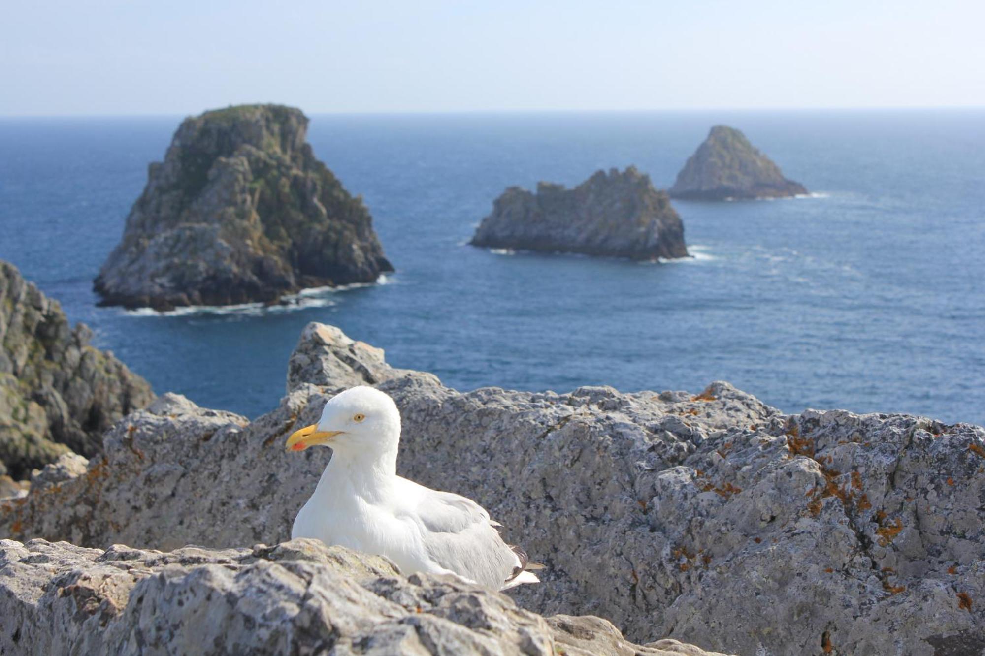 Hostellerie De La Mer Crozon Dış mekan fotoğraf